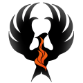 Phoenix Construction Group LLC